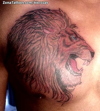 Foto de tatuaje Leones, Animales, Pecho