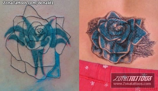 Tattoo photo Roses, Flowers, Cover Up