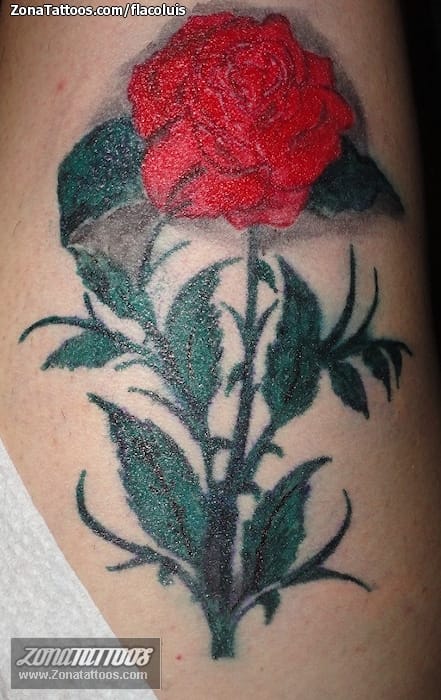 Tattoo photo Roses, Flowers