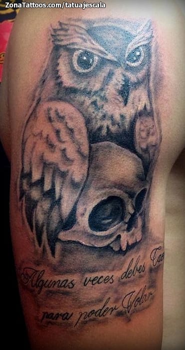 Tattoo photo Owls, Skulls, Birds