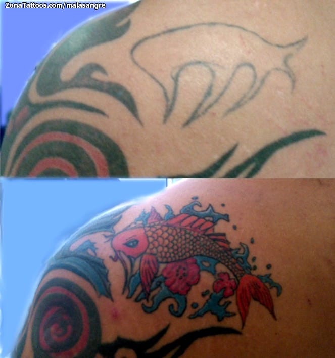 Tattoo photo Koi, Fish, Animals