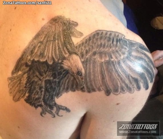 Foto de tatuaje Águilas, Aves, Animales