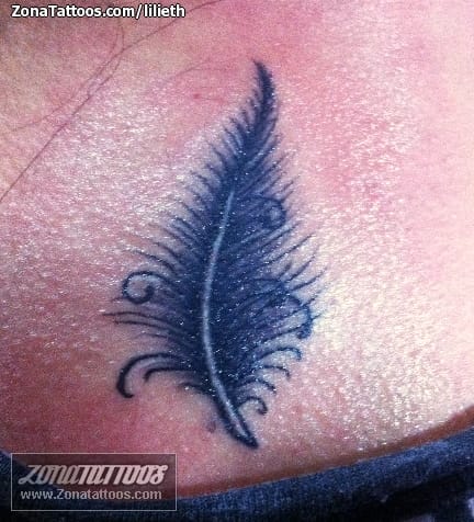 Tattoo photo Feathers