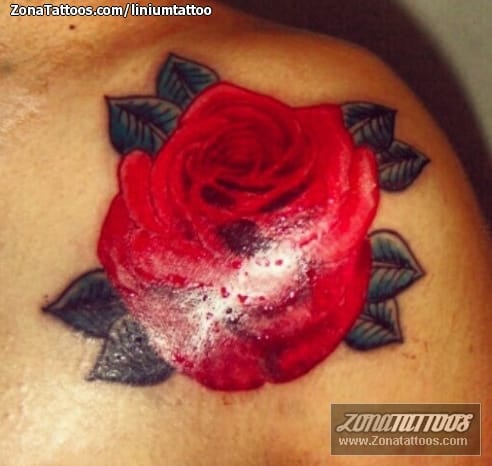 Tattoo photo Roses, Flowers