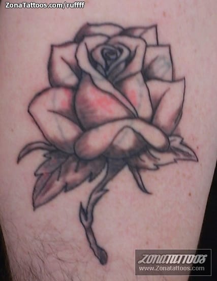 Foto de tatuaje Flores, Rosas