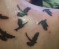 Tatuaje de OrtizM