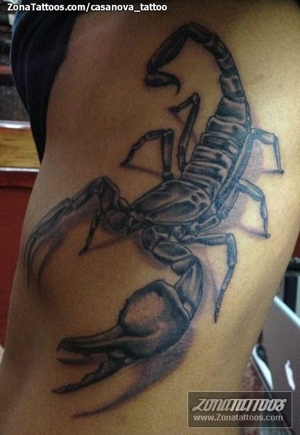 Tattoo photo Scorpions, Insects