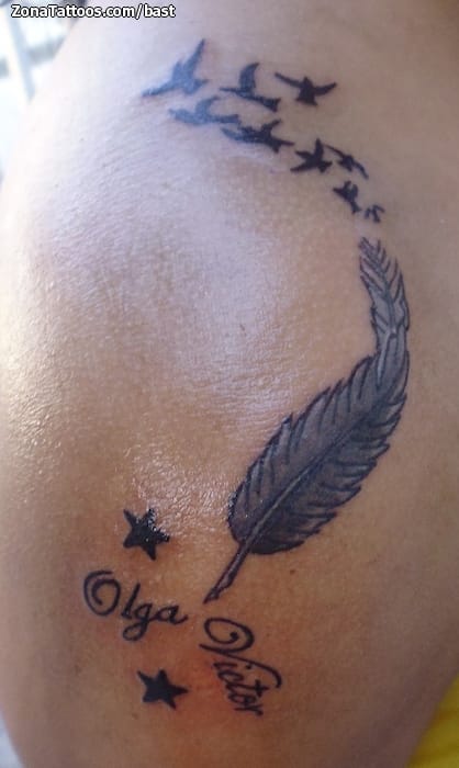 Foto de tatuaje Plumas, Aves