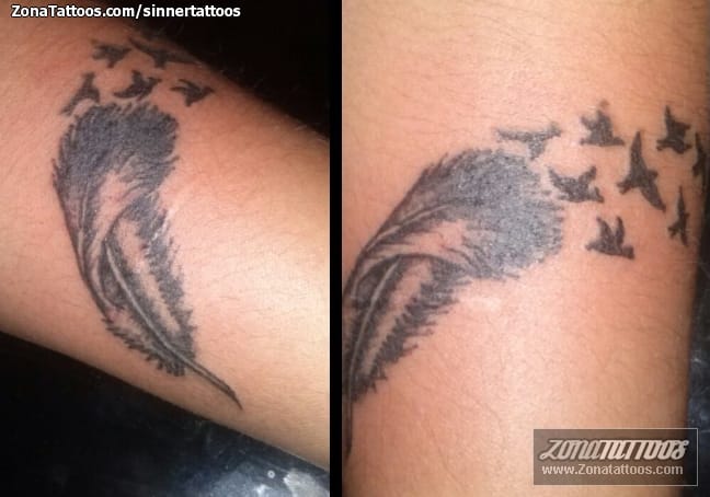 Foto de tatuaje Plumas, Aves