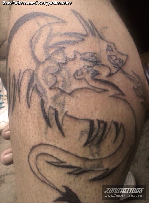 Tattoo photo Dragons