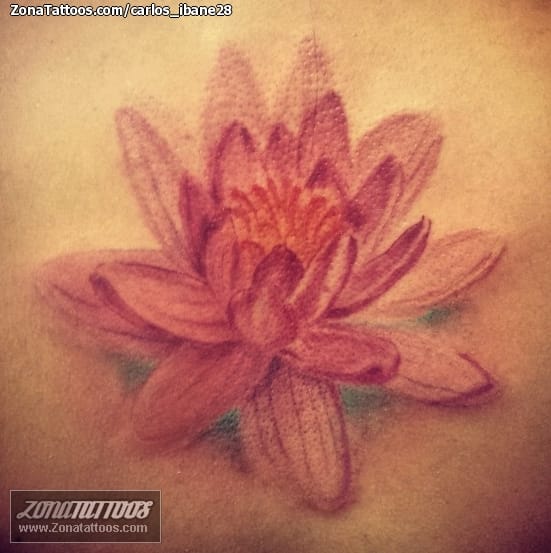 Tattoo photo Lotus, Flowers