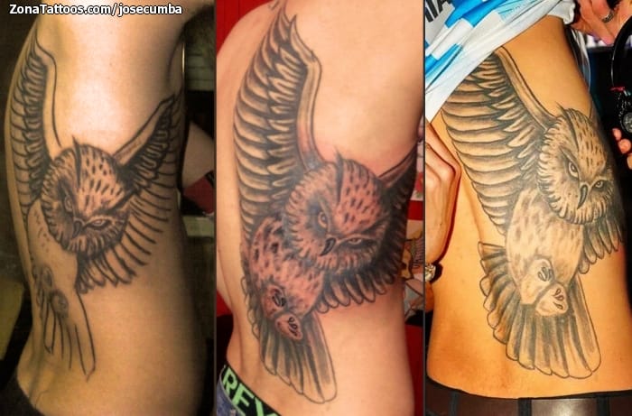 Foto de tatuaje Búhos, Aves, Animales