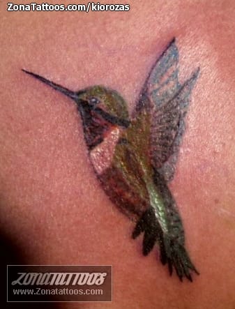 Foto de tatuaje Colibríes, Aves, Animales