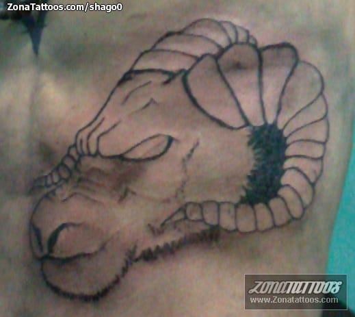 Foto de tatuaje Carneros, Animales, Horóscopos