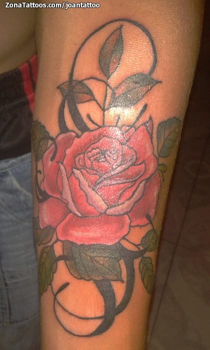 Foto de tatuaje Flores, Rosas