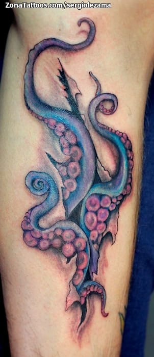 Tattoo photo Octopuses, Animals, Cracks