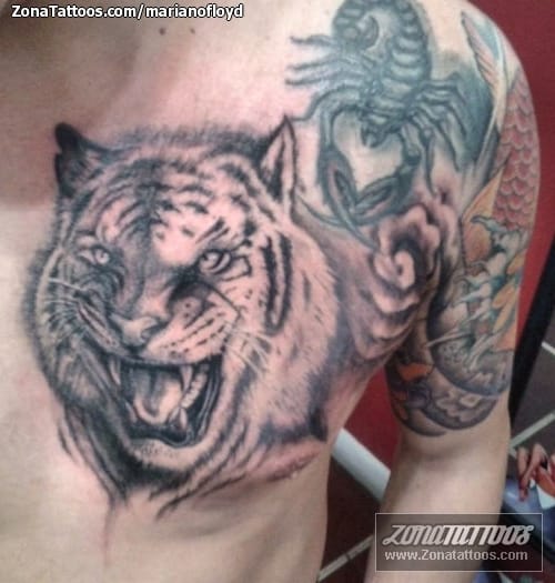 Tattoo photo Tigers, Chest, Animals