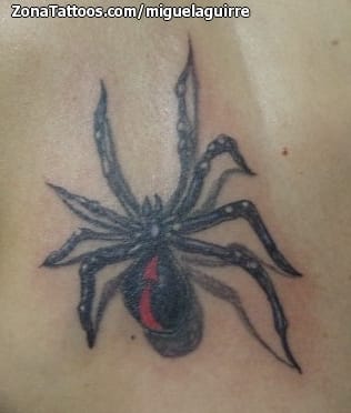 Foto de tatuaje Arañas, Insectos