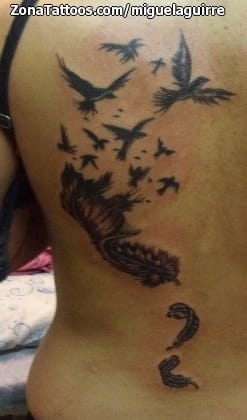 Foto de tatuaje Plumas, Aves