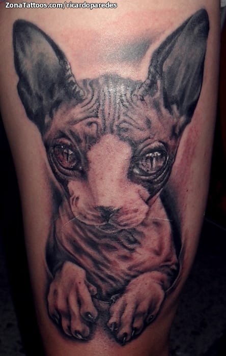 Foto de tatuaje Gatos, Muslo, Animales