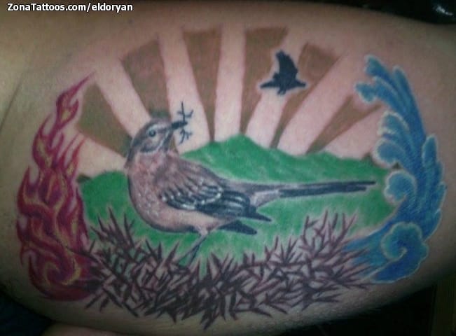 Foto de tatuaje Paisajes, Aves, Animales