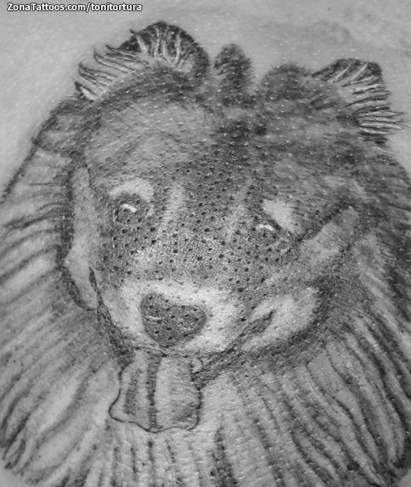 Tattoo photo Dogs, Animals