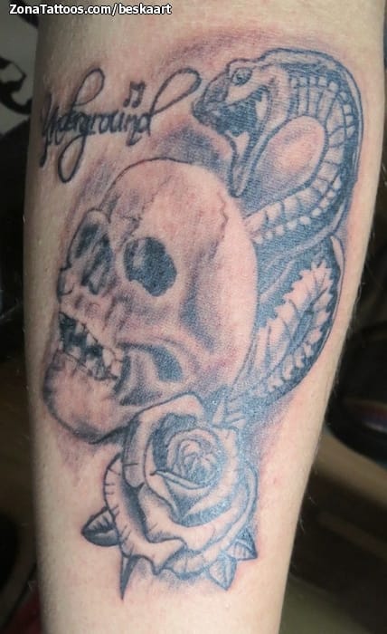 Foto de tatuaje Serpientes, Calaveras, Rosas