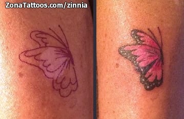 Tattoo photo Scars, Butterflies, Insects