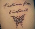 Tatuaje de Zinnia