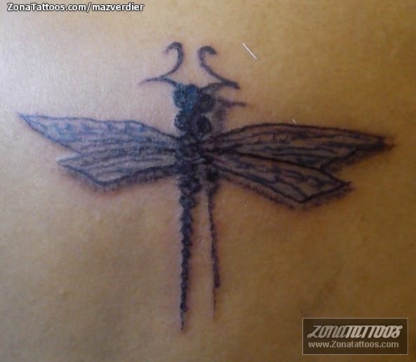 Tattoo photo Dragonflies, Insects