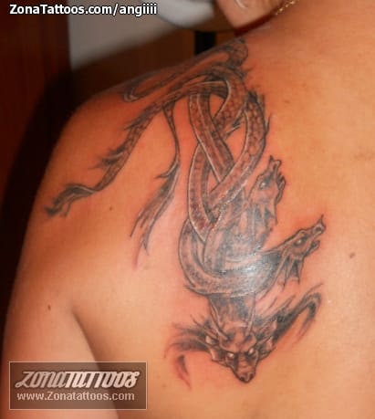 Foto de tatuaje Dragones, Fantasía, Hombro