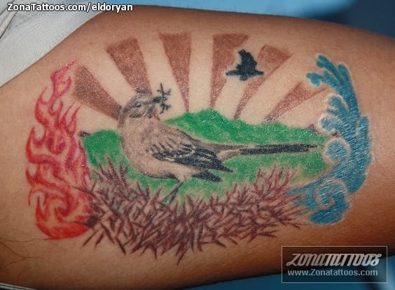 Foto de tatuaje Paisajes, Aves, Animales