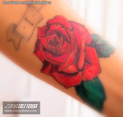 Tattoo photo Roses, Flowers