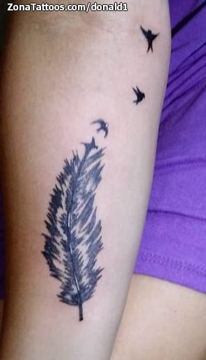 Foto de tatuaje Plumas