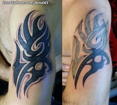 Tattoo of Tribal, Cover Up