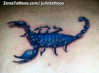 Tattoo photo Scorpions, Insects