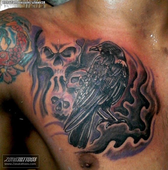 Foto de tatuaje Cuervos, Aves, Animales