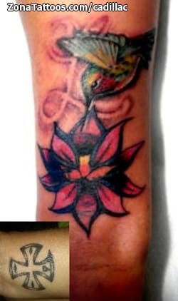 Tattoo photo Flowers, Lotus, Humming bird