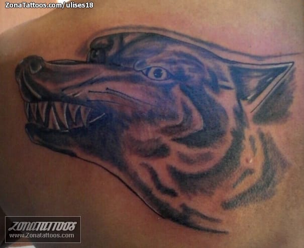 Foto de tatuaje Lobos, Animales