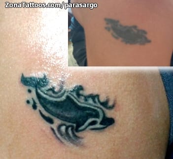 Foto de tatuaje Delfines, Animales, Cover Up