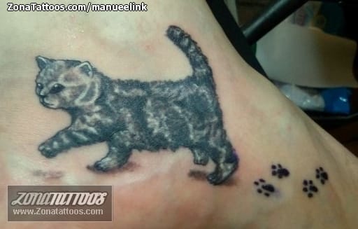 Foto de tatuaje Gatos, Animales