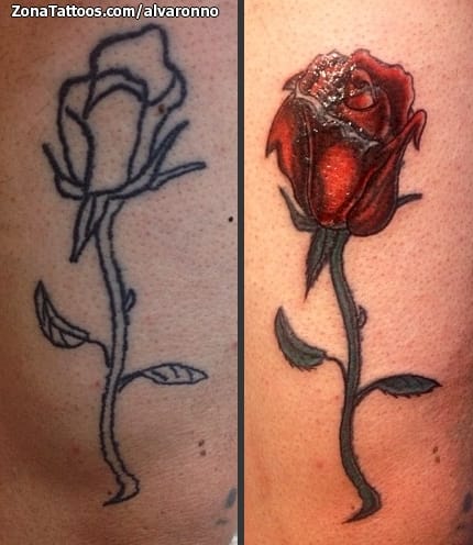 Tattoo photo Roses, Flowers, Cover Up