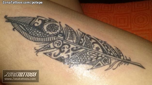 Foto de tatuaje Plumas