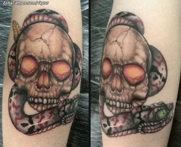 Foto de tatuaje Calaveras, Serpientes, Animales