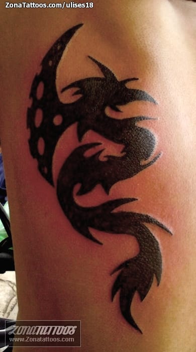 Tattoo photo Tribal, Dragons