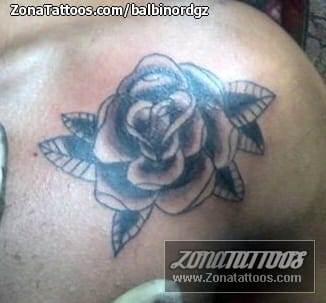 Tattoo photo Roses, Flowers