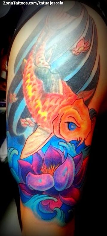 Foto de tatuaje Koi, Lotos, Peces