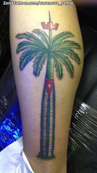 Tattoo photo Palm trees, Trees