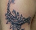 Tattoo by brayansmith