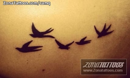 Foto de tatuaje Golondrinas, Aves, Animales